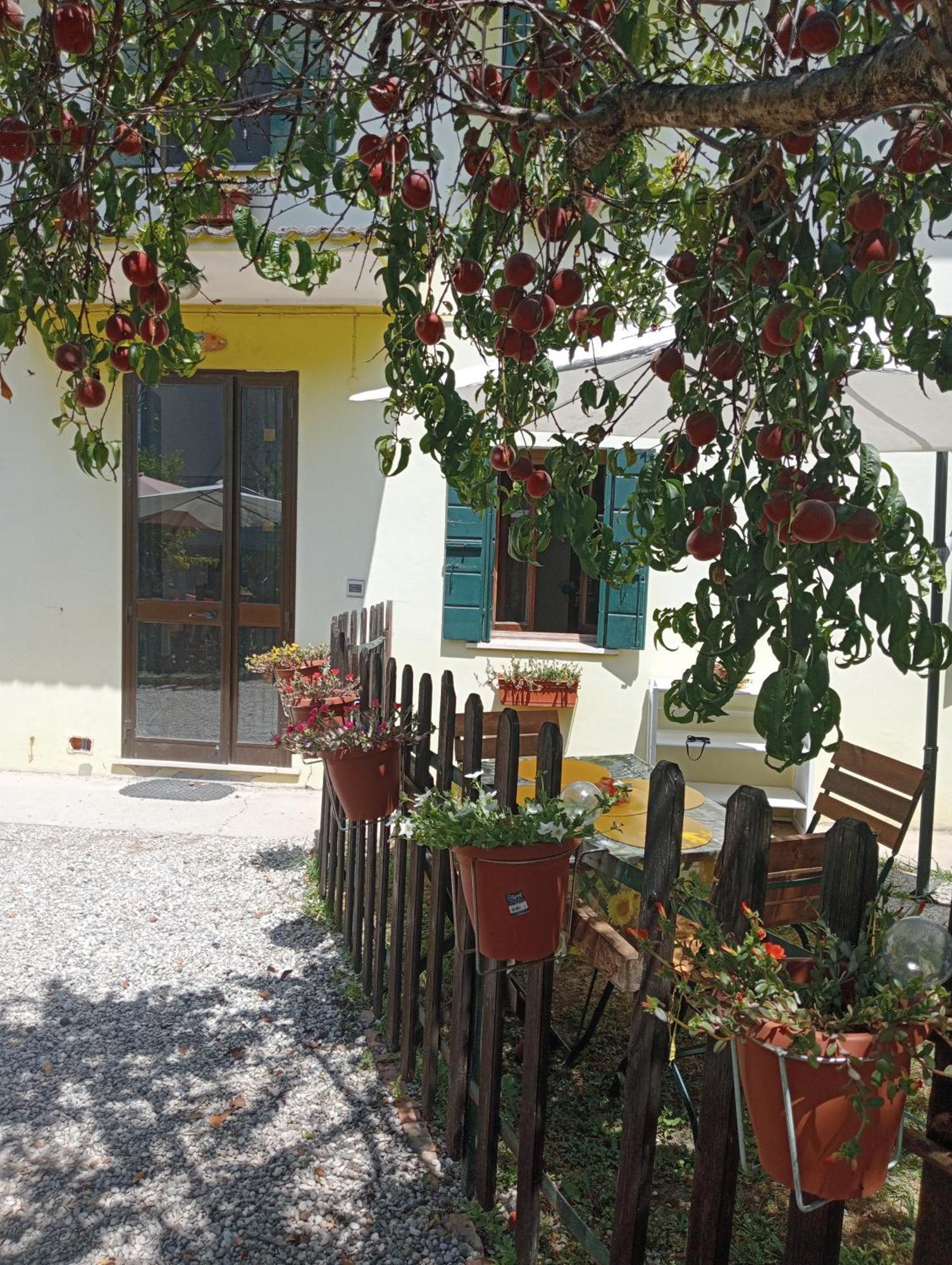 Appartamento Malcontenta Mira Esterno foto